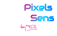 Logo des Pixels et du Sens